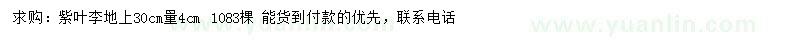 求購(gòu)30處量4公分紫葉李