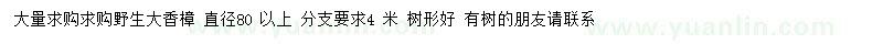 求購(gòu)80公分以上香樟