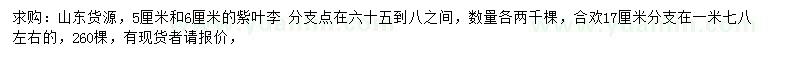 求購5、6公分紫葉李、17公分合歡