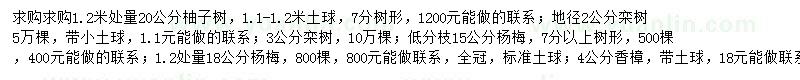求購柚子樹、欒樹、楊梅樹等
