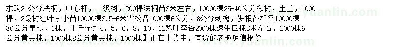 求購法桐、法桐、楸樹等