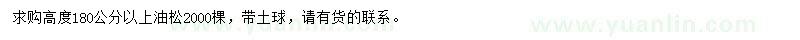 求購高度180公分以上油松