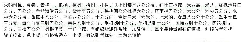 求購(gòu)刺槐、臭椿、青桐等