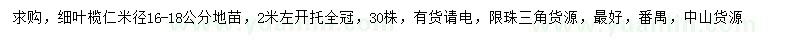 求購米徑16-18公分細葉欖仁