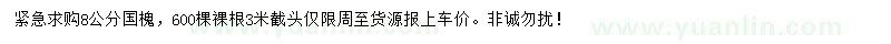 求購8公分國槐
