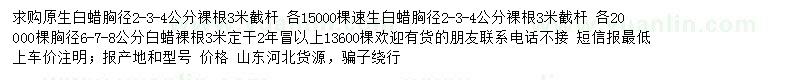 求購白蠟
