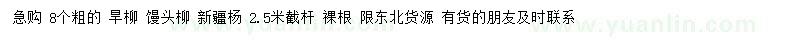 求購旱柳、饅頭柳、新疆楊