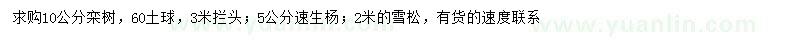 求購欒樹、速生楊、雪松