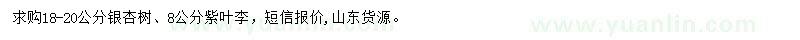 求購(gòu)18-20公分銀杏樹(shù)、8公分紫葉李