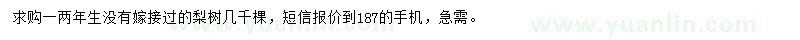 求購一兩年生梨樹