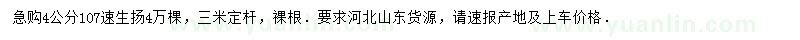 求購4公分107速生揚(yáng)