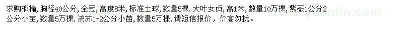 求購榔榆、大葉女貞、流蘇