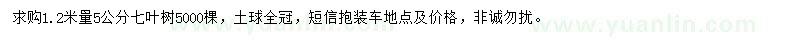 求購1.2米量5公分七葉樹