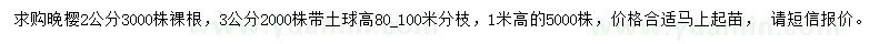 求購2公分、3公分晚櫻