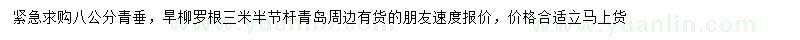 求購(gòu)8公分青垂、旱柳