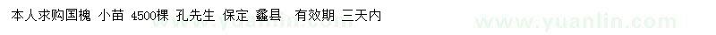 求購國槐小苗
