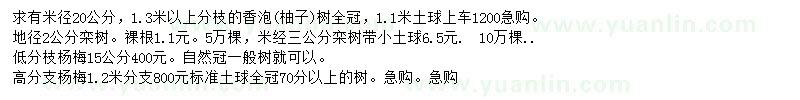 求購香泡樹、欒樹、楊梅