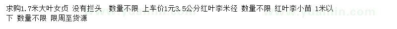 求購大葉女貞、紅葉李小苗