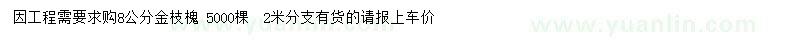 求購(gòu)8公分金枝槐