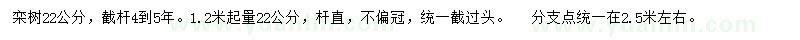 求購1.2米起量22公分欒樹