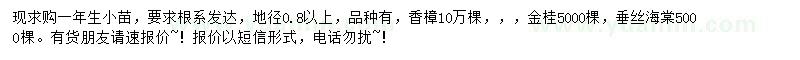 求購一年生香樟、樸樹、女貞等
