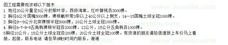 求購紫葉李、紅葉碧桃、國槐等