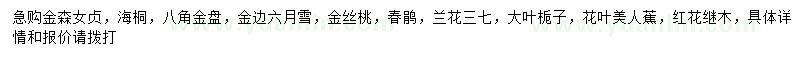 求購金森女貞、海桐、八角金盤等