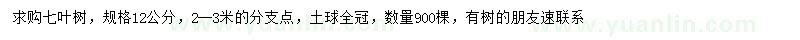 求購七葉樹