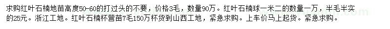 求購紅葉石楠小苗