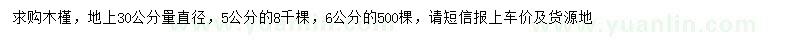 求購5、6公分木槿