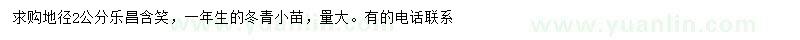 求購地徑2公分樂昌含笑、冬青小苗