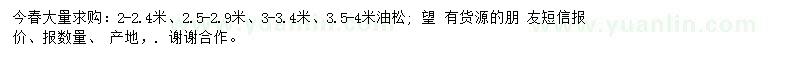 求購油松