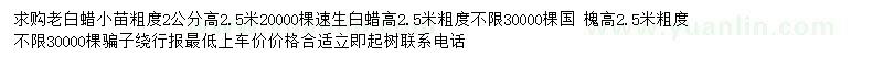 求購(gòu)白蠟小苗