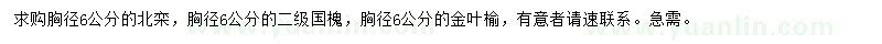 求購北欒、國槐、金葉榆