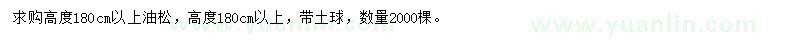 求購(gòu)高180公分以上油松