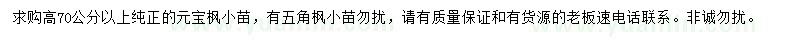 求購(gòu)高70公分以上元寶楓小苗