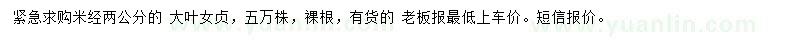 求購米徑2公分大葉女貞