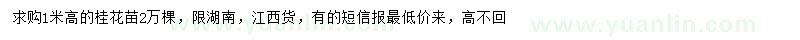 求購高1米桂花苗