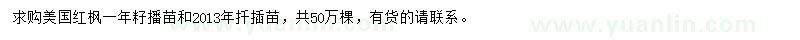 求購美國紅楓小苗