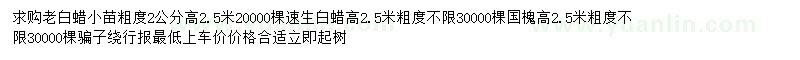 求購白蠟小苗、速生白蠟、國槐
