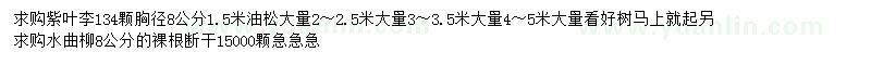 求購(gòu)紫葉李、油松、水曲柳