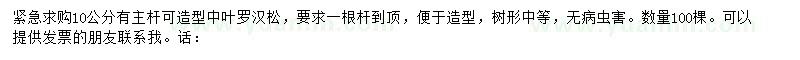 求購10公分羅漢松