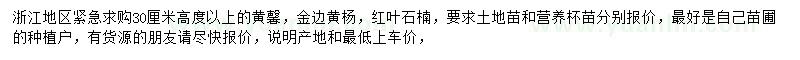 求購(gòu)金邊黃楊、紅葉石楠