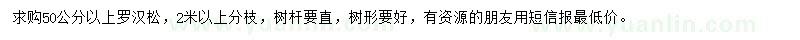 求購50公分以上羅漢松