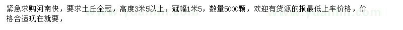 求購(gòu)高3.5米以上河南檜