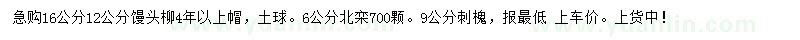 求購饅頭柳、北欒、刺槐
