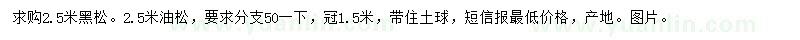 求購2.5米黑松、油松