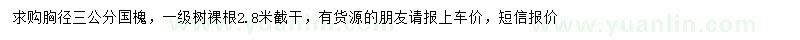 求購(gòu)胸徑3公分國(guó)槐