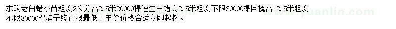 求購老白蠟小苗、速生白蠟、國槐