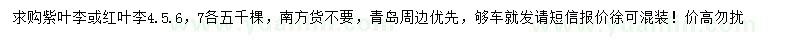 求購4、5、6、7公分紫葉李、紅葉李